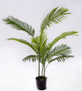 80cm Areca Palm