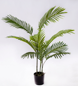 80cm Areca Palm