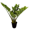 42cm Zamiifolia