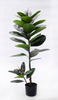 110cm Rubber Plant