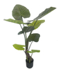 125cm Giant Taro