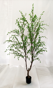 215cm Small Leaves Tree