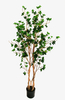 120cm Canterbury Bell