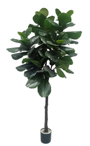 M 230cm Fiddle Tree