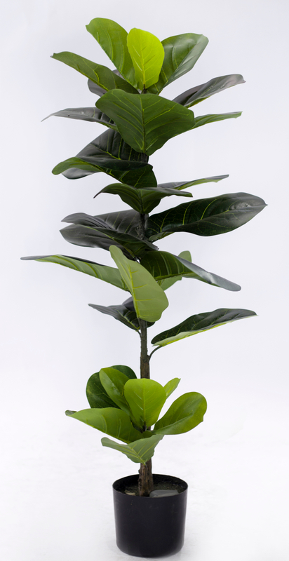 110cm Fiddle Tree