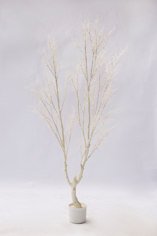 190cm White Plant