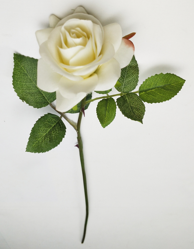 Single High-stamen Rose