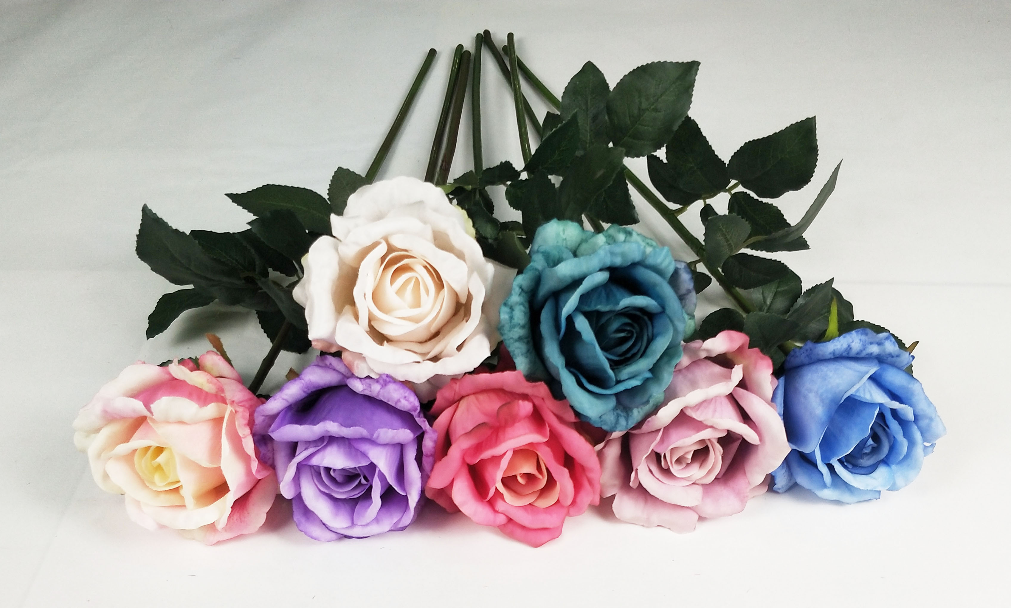 Single Newly Wrinkled Rose