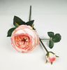 English Rose-2T