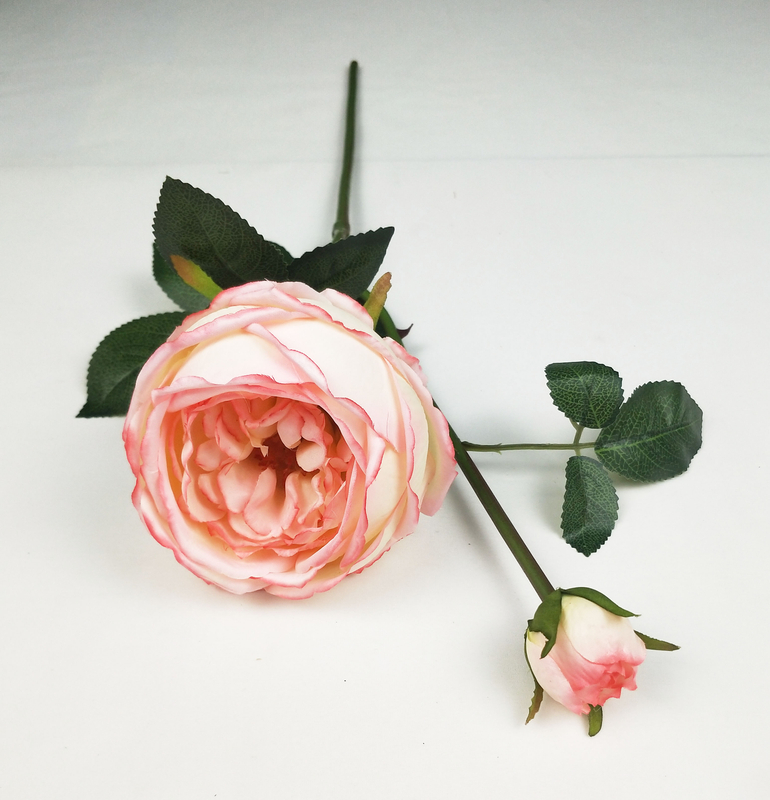 English Rose-2T