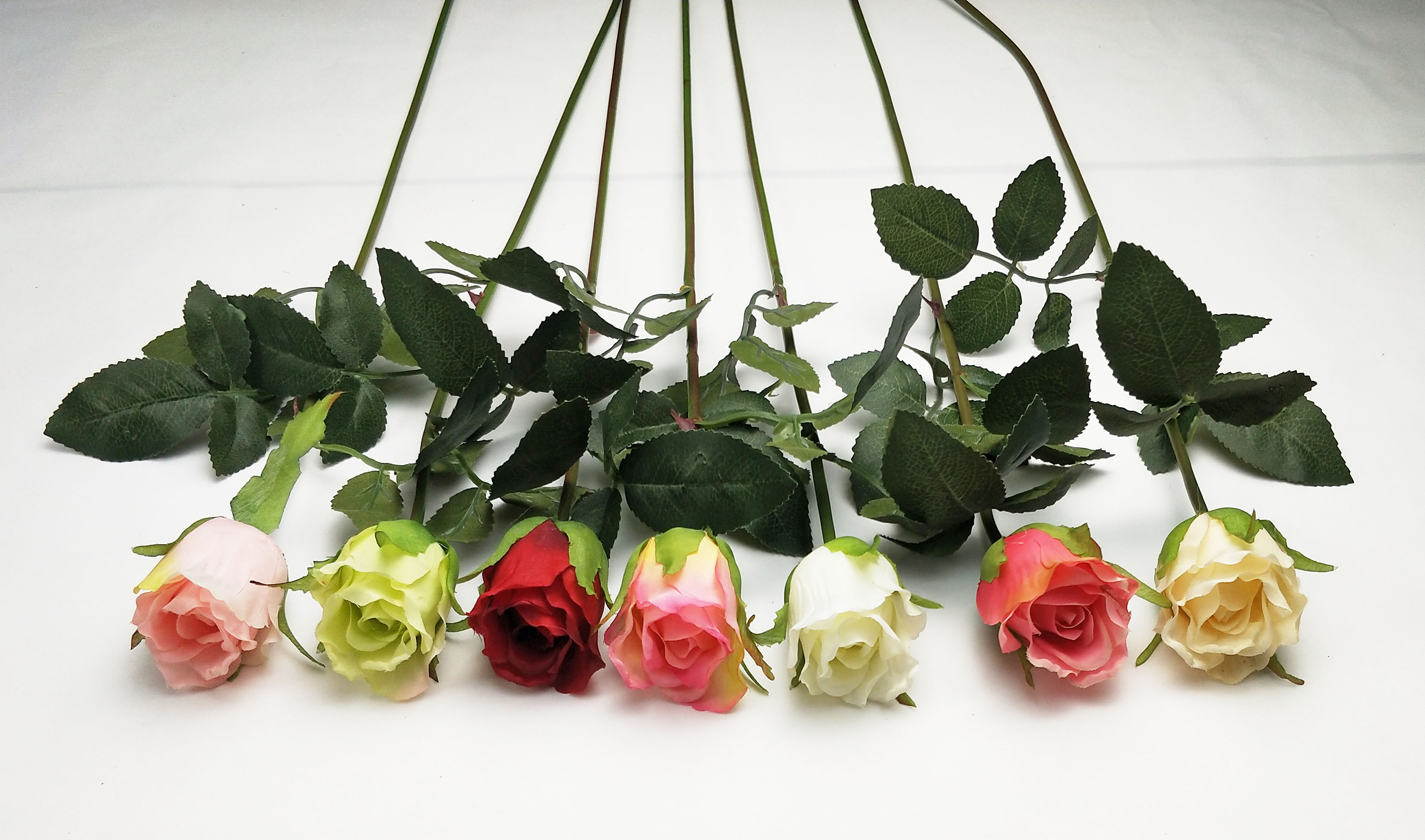 Rosebud