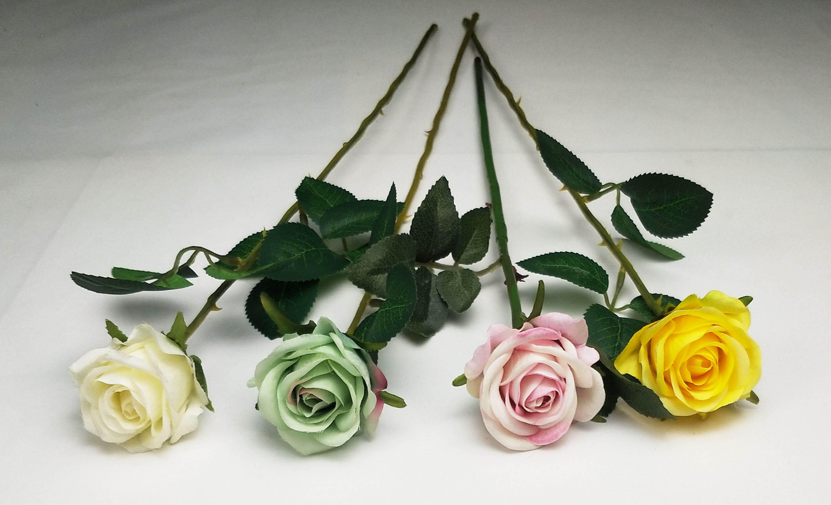 Single mini rose
