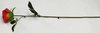 Single Small Round Rose