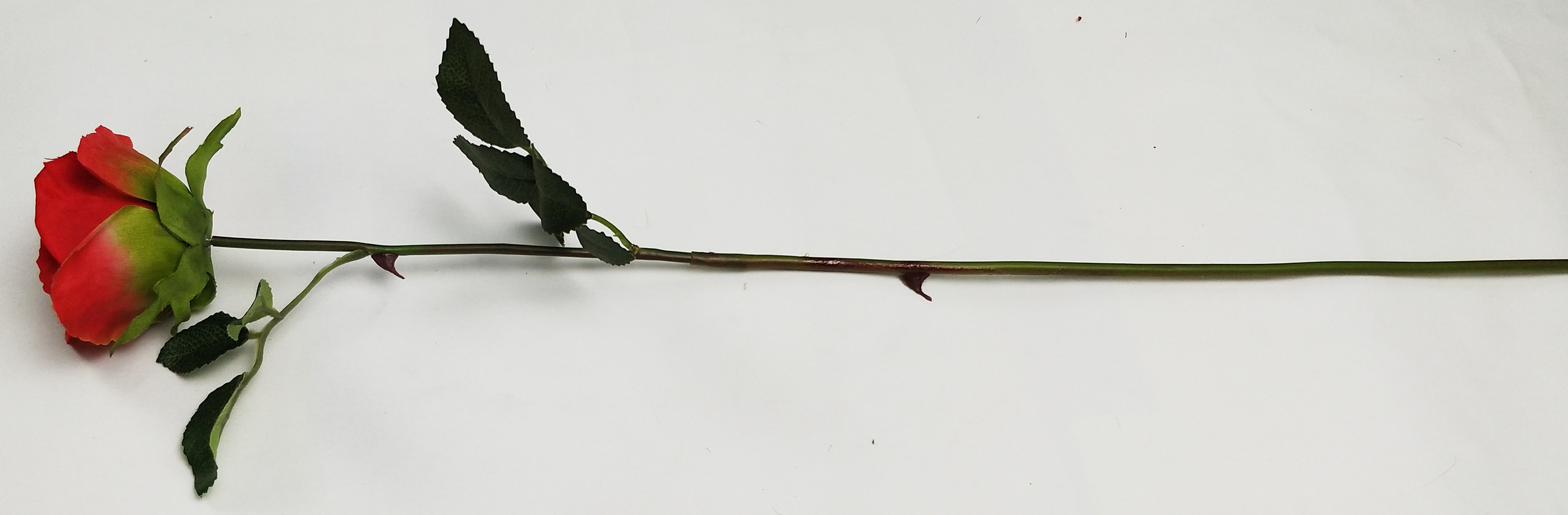 Single Small Round Rose
