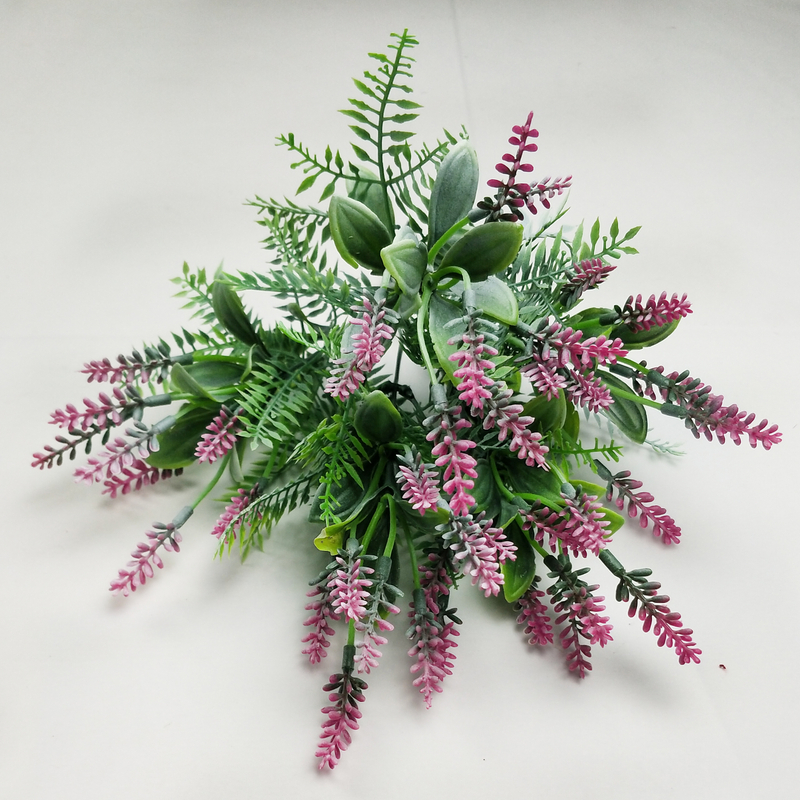 Purple perilla