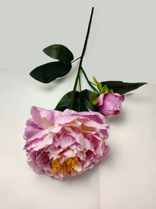 Peony-2T