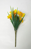 Narcissus bouquet
