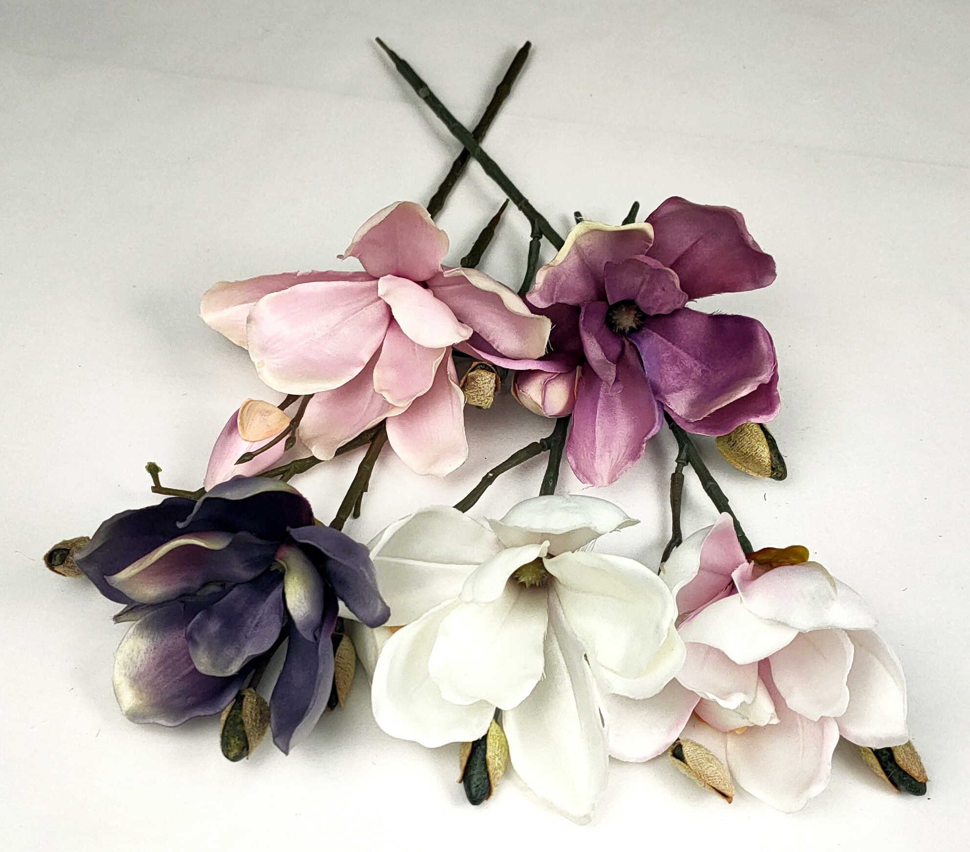 Spiglets of magnolia